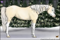 Horse Color:Silver Classic Champagne Pearl Dun Splash Frame