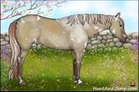 Horse Color:White Spotted Liver Red Dun Sabino 