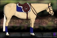 Horse Color:Palomino Rabicano 