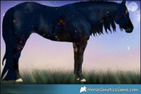 Horse Color:ERROR: UNKNOWN ANOMALY