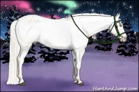Horse Color:Silver Bay Roan Pearl Dun Appaloosa