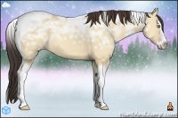 Horse Color:Amber Champagne Ice Dun Splash Tobiano 
