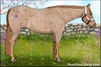 Horse Color:Red Roan