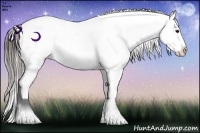 Horse Color:Brown Ice Appaloosa 