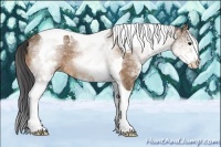 Horse Color:White Spotted Buckskin Tobiano 