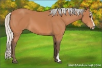 Horse Color:Silver Bay Sabino