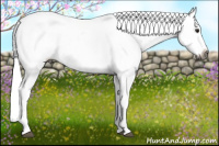 Horse Color:Gray Bay Sabino Splash Appaloosa 