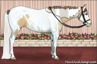 Horse Color:Silver Buckskin Dun Splash Tobiano 