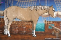 Horse Color:Palomino Splash 