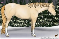 Horse Color:Gold Champagne Pearl 