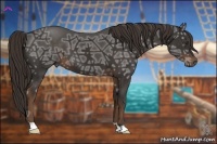 Horse Color:Liver Chestnut Ice 