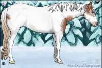 Horse Color:Chestnut Ice Sabino Tobiano Frame Rabicano 