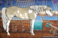 Horse Color:Silver Buckskin Splash