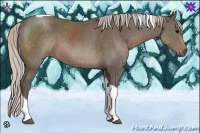 Horse Color:Silver Black Tobiano 