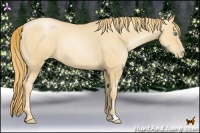 Horse Color:Gold Champagne Pearl 