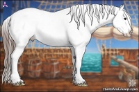 Horse Color:Grullo Snowflake Varnish