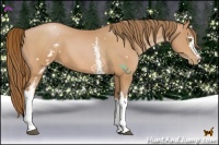 Horse Color:White Spotted Bay Pearl