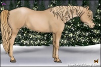 Horse Color:Chestnut Pearl
