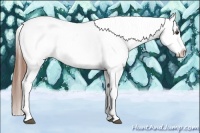 Horse Color:Chestnut Sabino Tobiano Frame Varnish Rabicano 