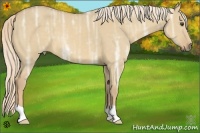 Horse Color:Palomino Ice Dun 