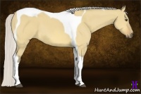 Horse Color:Silver Buckskin Dun Tobiano 
