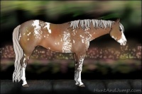 Horse Color:White Spotted Silver Bay Splash 