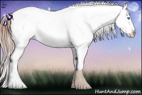 Horse Color:Buckskin Ice Pearl Appaloosa
