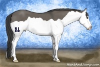 Horse Color:Smoky Grullo Splash