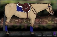 Horse Color:Bay Dun Rabicano 