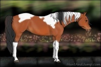 Horse Color:Bay Tobiano Frame 