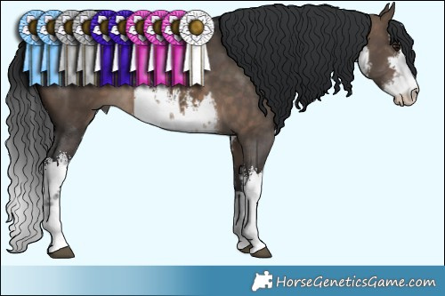 Horse Color:White Spotted Brown Dun 