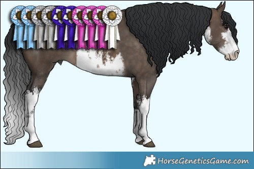 Horse Color:White Spotted Brown Dun