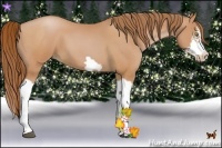 Horse Color:Bay Pearl Splash Frame