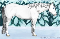 Horse Color:Grullo Sabino Splash Tobiano Rabicano