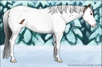 Horse Color:Bay Splash Tobiano Rabicano 