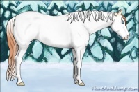 Horse Color:Classic Cream Champagne Pearl Dun Sabino Splash Tobiano 
