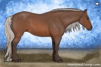 Horse Color:Silver Brown Roan Sabino 