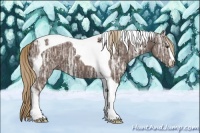 Horse Color:Liver Chestnut Ice Sabino Tobiano 