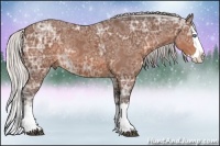 Horse Color:Silver Brown Ice Sabino Splash Rabicano