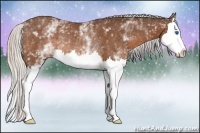 Horse Color:White Spotted Silver Brown Splash Rabicano
