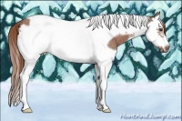 Horse Color:Red Roan Splash Tobiano Frame Rabicano