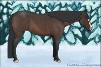 Horse Color:Bay Roan Sabino Frame 