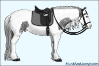 Horse Color:Black Ice Splash Tobiano 