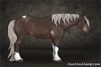 Horse Color:Silver Brown Tobiano Rabicano