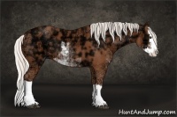 Horse Color:Silver Bay Ice Sabino Splash