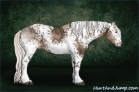 Horse Color:White Spotted Silver Black Ice Pearl 