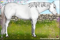 Horse Color:Brown Appaloosa Rabicano 