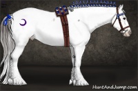 Horse Color:Brown Ice Appaloosa Rabicano