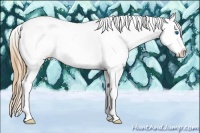Horse Color:Buckskin Sabino Splash Tobiano Appaloosa Rabicano 