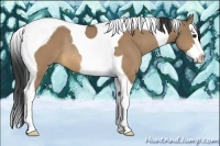 Horse Color:Bay Dun Sabino Splash Tobiano Rabicano